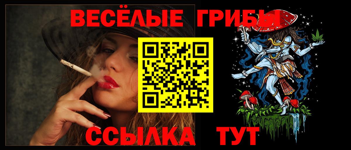 Псилоцибиновые грибы мицелий Подольск