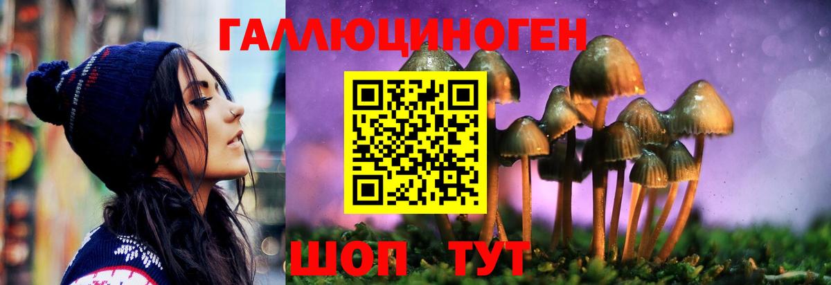 где купить наркоту  Вход с VPN  Псилоцибиновые грибы Psilocybe  Подольск  Галлюциногенные грибы Psilocybine cubensis 